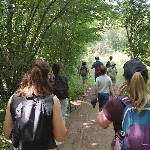 PEJ - AEMO Renforcée (1)