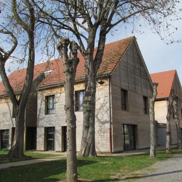 Photo Pole Education et Accompagnement notre ADN